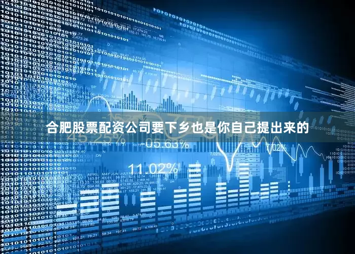 合肥股票配资公司要下乡也是你自己提出来的