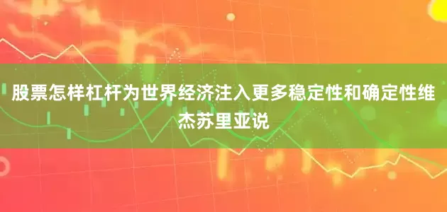 股票怎样杠杆为世界经济注入更多稳定性和确定性维杰苏里亚说