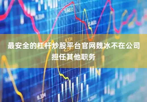 最安全的杠杆炒股平台官网魏冰不在公司担任其他职务