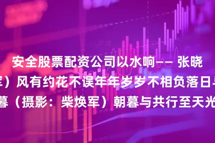 安全股票配资公司以水响—— 张晓风（摄影：柴焕军）风有约花不误年年岁岁不相负落日与晚风朝朝又暮暮（摄影：柴焕军）朝暮与共行至天光编辑：潘玥婷 周丹阳编审：刘亚男监审：常立军 费林敬终审：郭 峰 郭清海发布于：北京市