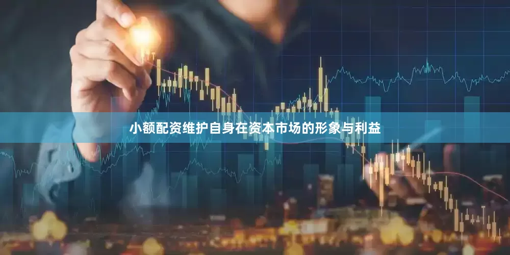 小额配资维护自身在资本市场的形象与利益