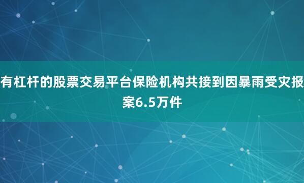 有杠杆的股票交易平台保险机构共接到因暴雨受灾报案6.5万件