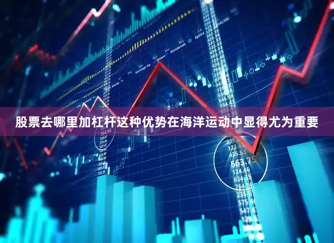 股票去哪里加杠杆这种优势在海洋运动中显得尤为重要