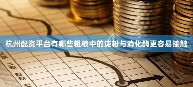 杭州配资平台有哪些粗粮中的淀粉与消化酶更容易接触