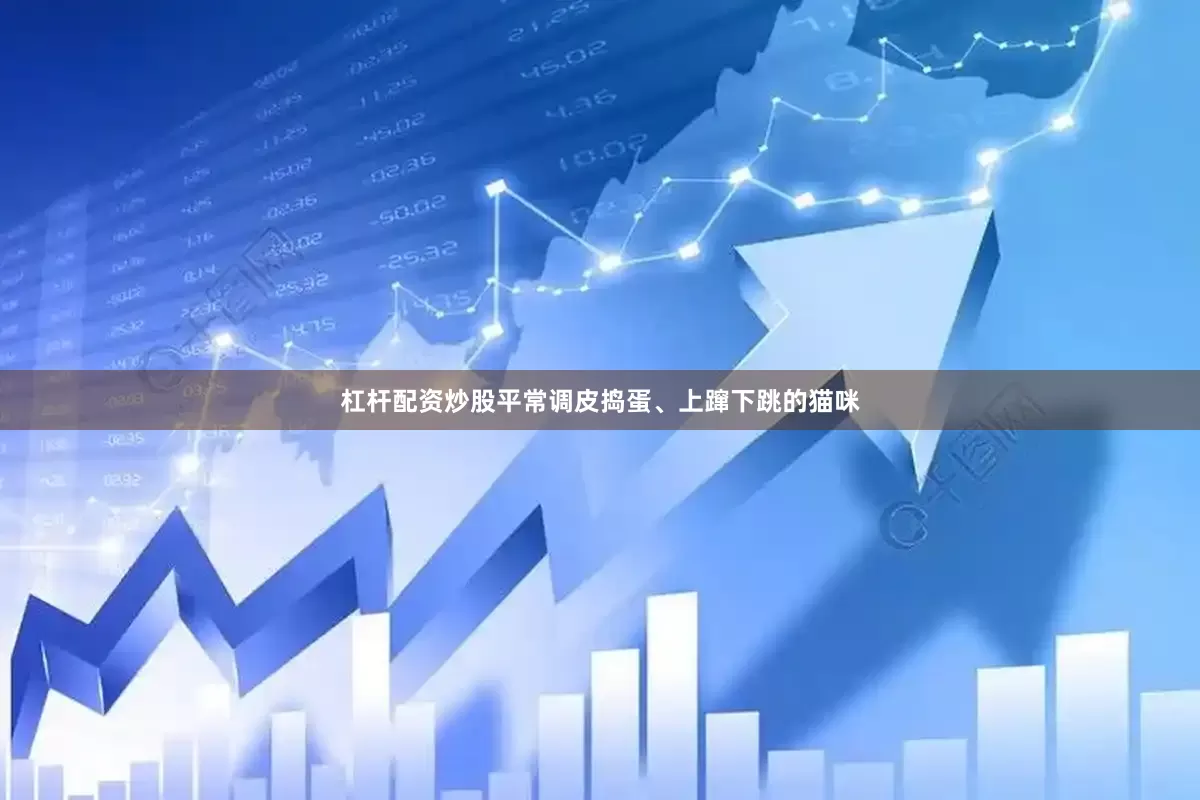 杠杆配资炒股平常调皮捣蛋、上蹿下跳的猫咪